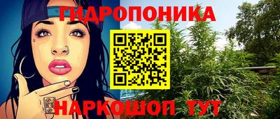 эйфоретик Аргун