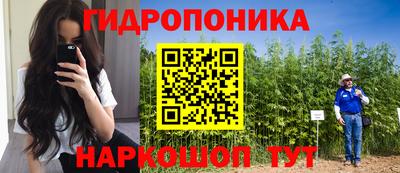 эйфоретик Аргун