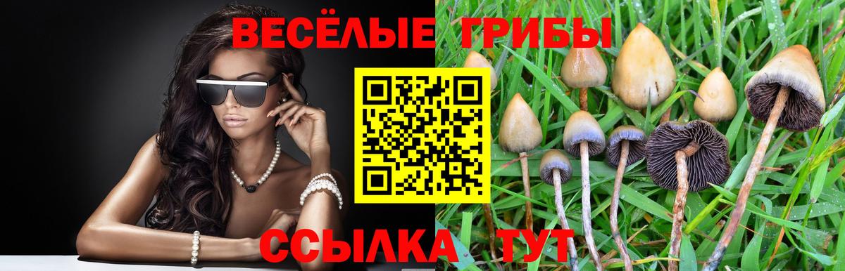 Псилоцибиновые грибы мухоморы  Вход с VPN  сколько стоит  Псилоцибиновые грибы мухоморы  Артёмовский 