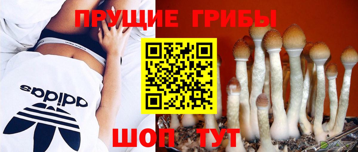 Псилоцибиновые грибы ЛСД Артёмовский