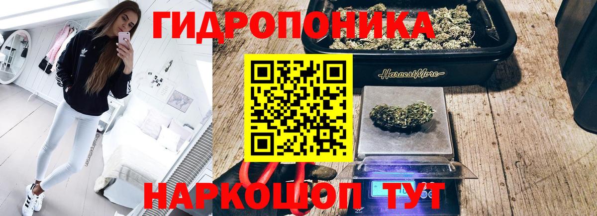 Канабис Amnesia  Канабис гибрид  Вход с VPN  Артёмовский 
